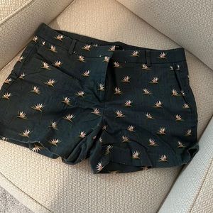 Ann Taylor Devin Fit Shorts